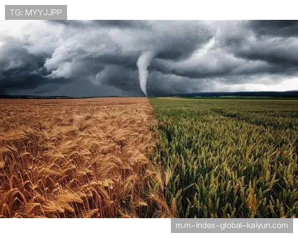 北美赛场环境因素复杂 人工草与气候影响防线表现